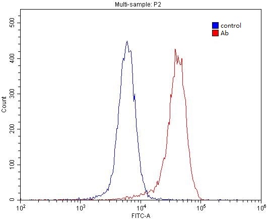 1X10^6 SH-SY5Y cells were stained with 0.2ug ADORA1 antibody (Catalog No:107783, red) and control antibody (blue). Fixed with 4% PFA blocked with 3% BSA (30 min). Alexa Fluor 488-congugated AffiniPure Goat Anti-Rabbit IgG(H+L) with dilution 1:1500.