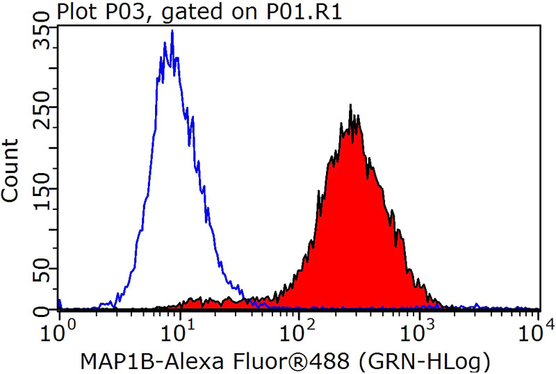 1X10^6 SH-SY5Y cells were stained with 0.2ug MAP1B antibody (Catalog No:112472, red) and control antibody (blue). Fixed with 90% MeOH blocked with 3% BSA (30 min). Alexa Fluor 488-congugated AffiniPure Goat Anti-Rabbit IgG(H+L) with dilution 1:1000.