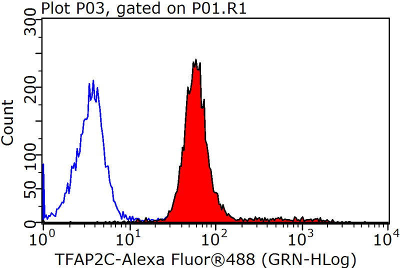 1X10^6 MCF-7 cells were stained with 0.2ug TFAP2C antibody (Catalog No:116000, red) and control antibody (blue). Fixed with 90% MeOH blocked with 3% BSA (30 min). Alexa Fluor 488-congugated AffiniPure Goat Anti-Rabbit IgG(H+L) with dilution 1:1500.