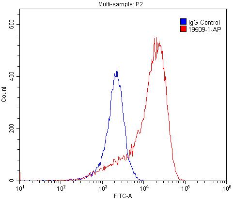 1X10^6 PC-3 cells were stained with 0.2ug LPAR3-Specific antibody (Catalog No:110304, red) and control antibody (blue). Fixed with 4% PFA blocked with 3% BSA (30 min). Alexa Fluor 488-congugated AffiniPure Goat Anti-Rabbit IgG(H+L) with dilution 1:1500.