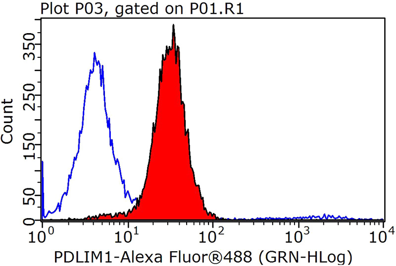 1X10^6 MCF-7 cells were stained with 0.2ug PDLIM1,CLP36 antibody (Catalog No:113629, red) and control antibody (blue). Fixed with 90% MeOH blocked with 3% BSA (30 min). Alexa Fluor 488-congugated AffiniPure Goat Anti-Rabbit IgG(H+L) with dilution 1:1000.