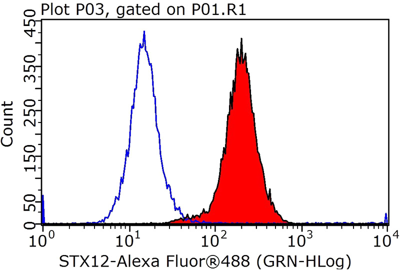 1X10^6 HepG2 cells were stained with 0.2ug STX12 antibody (Catalog No:115792, red) and control antibody (blue). Fixed with 90% MeOH blocked with 3% BSA (30 min). Alexa Fluor 488-congugated AffiniPure Goat Anti-Rabbit IgG(H+L) with dilution 1:100.