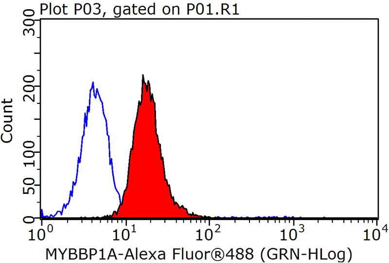 1X10^6 HepG2 cells were stained with 0.2ug MYBBP1A antibody (Catalog No:112912, red) and control antibody (blue). Fixed with 90% MeOH blocked with 3% BSA (30 min). Alexa Fluor 488-congugated AffiniPure Goat Anti-Rabbit IgG(H+L) with dilution 1:1500.