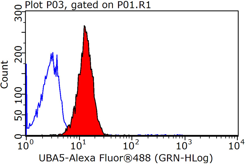 1X10^6 HeLa cells were stained with 0.2ug UBA5 antibody (Catalog No:116468, red) and control antibody (blue). Fixed with 90% MeOH blocked with 3% BSA (30 min). Alexa Fluor 488-congugated AffiniPure Goat Anti-Rabbit IgG(H+L) with dilution 1:1500.