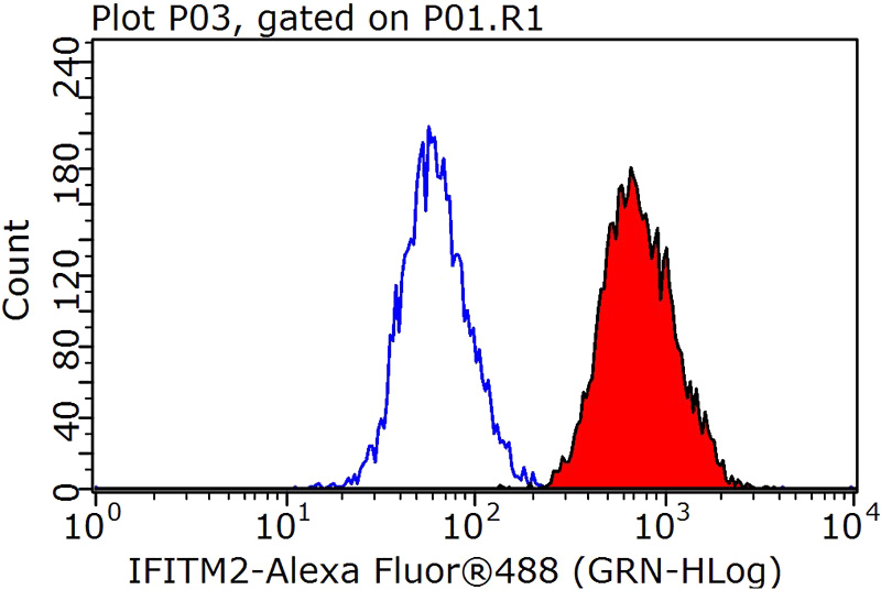 1X10^6 HeLa cells were stained with 0.2ug IFITM2-specific antibody (Catalog No:107276, red) and control antibody (blue). Fixed with 90% MeOH blocked with 3% BSA (30 min). Alexa Fluor 488-congugated AffiniPure Goat Anti-Mouse IgG(H+L) with dilution 1:1000.