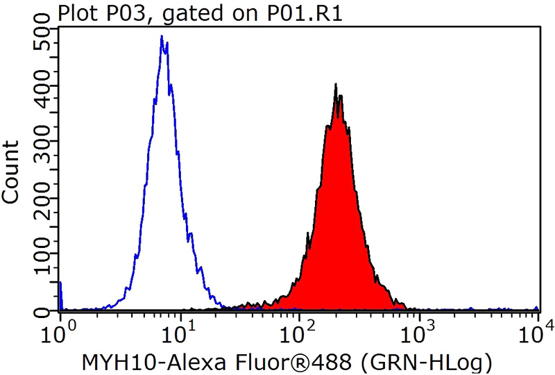 1X10^6 HepG2 cells were stained with 0.2ug MYH10-Specific antibody (Catalog No:112930, red) and control antibody (blue). Fixed with 90% MeOH blocked with 3% BSA (30 min). Alexa Fluor 488-congugated AffiniPure Goat Anti-Rabbit IgG(H+L) with dilution 1:1000.