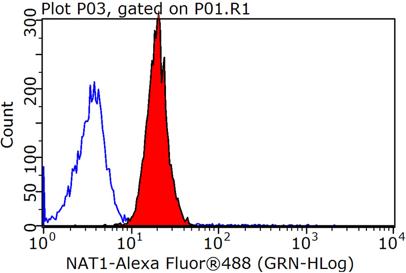 1X10^6 MCF-7 cells were stained with 0.2ug NAT1 antibody (Catalog No:112960, red) and control antibody (blue). Fixed with 90% MeOH blocked with 3% BSA (30 min). Alexa Fluor 488-congugated AffiniPure Goat Anti-Rabbit IgG(H+L) with dilution 1:1500.