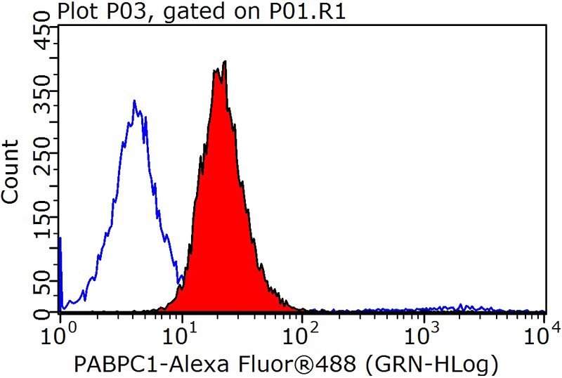 1X10^6 MCF-7 cells were stained with 0.2ug PABPC1,PABP antibody (Catalog No:113474, red) and control antibody (blue). Fixed with 90% MeOH blocked with 3% BSA (30 min). Alexa Fluor 488-congugated AffiniPure Goat Anti-Rabbit IgG(H+L) with dilution 1:1000.