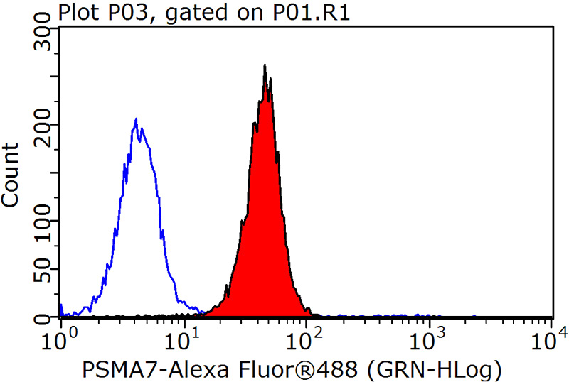 1X10^6 HepG2 cells were stained with 0.2ug PSMA7 antibody (Catalog No:114377, red) and control antibody (blue). Fixed with 90% MeOH blocked with 3% BSA (30 min). Alexa Fluor 488-congugated AffiniPure Goat Anti-Rabbit IgG(H+L) with dilution 1:1500.