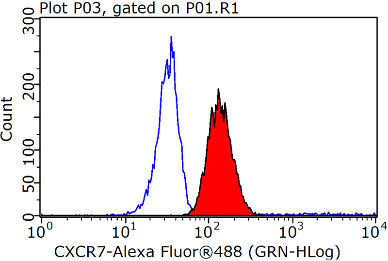 1X10^6 Raji cells were stained with 0.2ug CXCR7 antibody (Catalog No:109645, red) and control antibody (blue). Fixed with 90% MeOH blocked with 3% BSA (30 min). Alexa Fluor 488-congugated AffiniPure Goat Anti-Rabbit IgG(H+L) with dilution 1:1000.