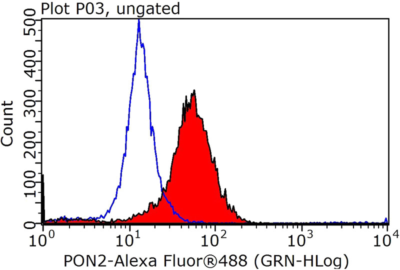 1X10^6 HepG2 cells were stained with 0.2ug PON2 antibody (Catalog No:114059, red) and control antibody (blue). Fixed with 90% MeOH blocked with 3% BSA (30 min). Alexa Fluor 488-congugated AffiniPure Goat Anti-Rabbit IgG(H+L) with dilution 1:1000.