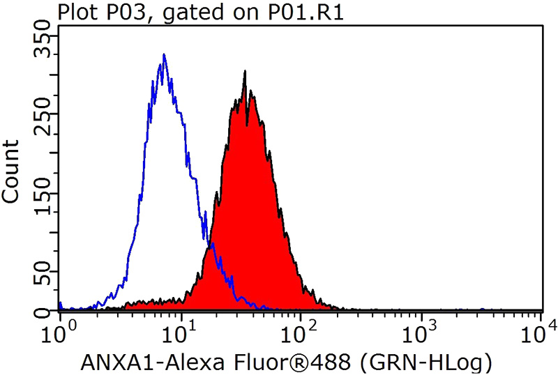 1X10^6 HeLa cells were stained with 0.2ug ANXA1 antibody (Catalog No:108089, red) and control antibody (blue). Fixed with 90% MeOH blocked with 3% BSA (30 min). Alexa Fluor 488-congugated AffiniPure Goat Anti-Rabbit IgG(H+L) with dilution 1:1000.