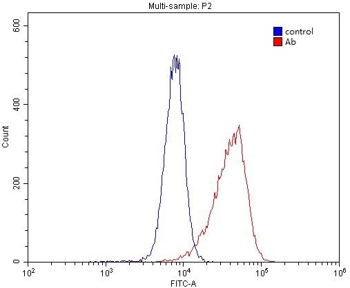 1X10^6 HL-60 cells were stained with 0.2ug CD320 antibody (Catalog No:109027, red) and control antibody (blue). Fixed with 4% PFA blocked with 3% BSA (30 min). Alexa Fluor 488-congugated AffiniPure Goat Anti-Rabbit IgG(H+L) with dilution 1:1500.