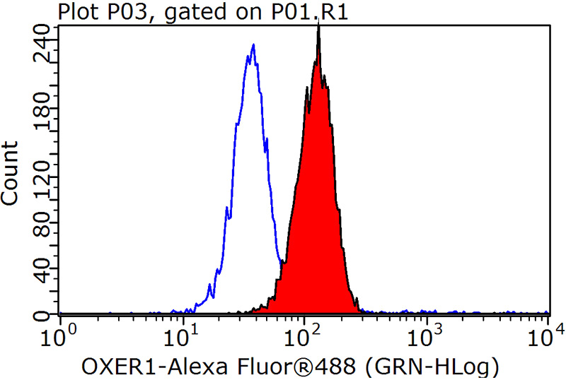 1X10^6 K-562 cells were stained with 0.2ug OXER1 antibody (Catalog No:113526, red) and control antibody (blue). Fixed with 90% MeOH blocked with 3% BSA (30 min). Alexa Fluor 488-congugated AffiniPure Goat Anti-Rabbit IgG(H+L) with dilution 1:1000.