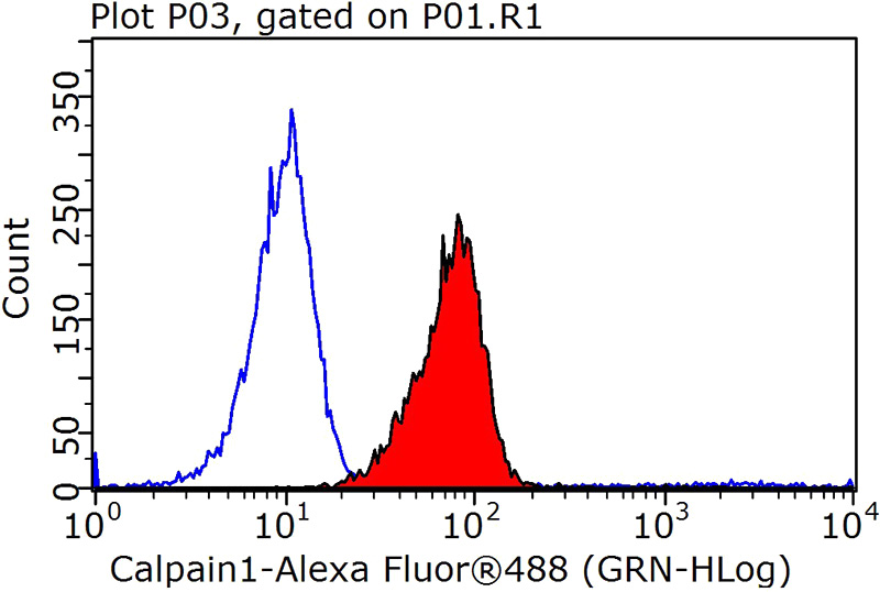 1X10^6 HeLa cells were stained with 0.2ug CAPN1 antibody (Catalog No:108833, red) and control antibody (blue). Fixed with 90% MeOH blocked with 3% BSA (30 min). Alexa Fluor 488-congugated AffiniPure Goat Anti-Rabbit IgG(H+L) with dilution 1:1000.
