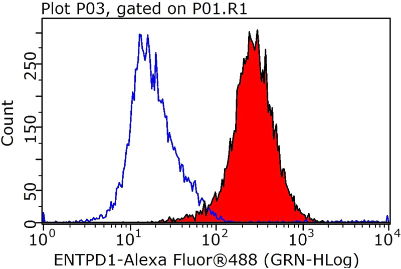 1X10^6 Jurkat cells were stained with 0.5ug CYP1A1 antibody (Catalog No:109683, red) and control antibody (blue). Fixed with 90% MeOH blocked with 3% BSA (30 min). Alexa Fluor 488-congugated AffiniPure Goat Anti-Rabbit IgG(H+L) with dilution 1:1000.