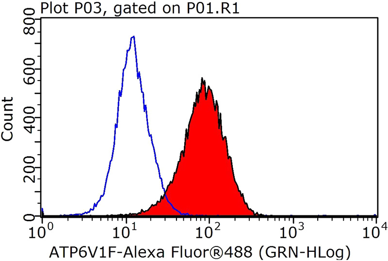 1X10^6 MCF-7 cells were stained with 0.2ug ATP6V1F antibody (Catalog No:108313, red) and control antibody (blue). Fixed with 90% MeOH blocked with 3% BSA (30 min). Alexa Fluor 488-congugated AffiniPure Goat Anti-Rabbit IgG(H+L) with dilution 1:1000.