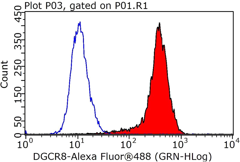 1X10^6 HeLa cells were stained with 0.2ug DGCR8 antibody (Catalog No:109905, red) and control antibody (blue). Fixed with 4% PFA blocked with 3% BSA (30 min). Alexa Fluor 488-congugated AffiniPure Goat Anti-Rabbit IgG(H+L) with dilution 1:1000.