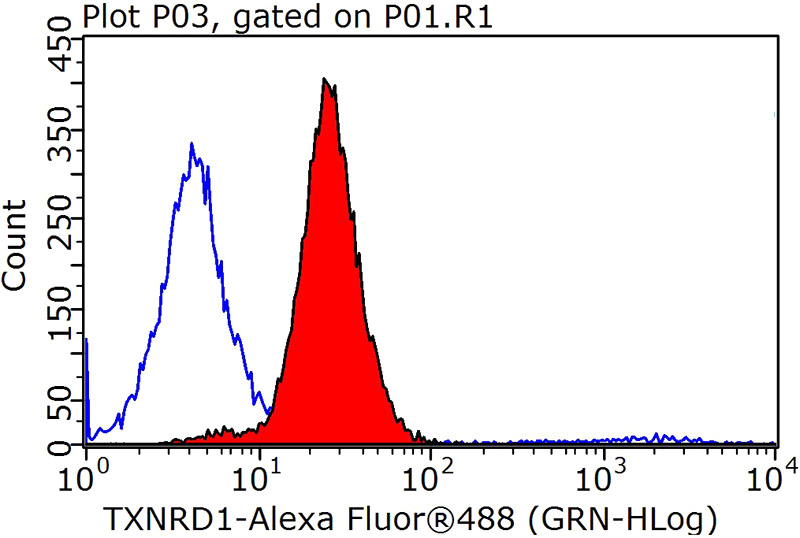 1X10^6 MCF-7 cells were stained with 0.2ug TXNRD1 antibody (Catalog No:116458, red) and control antibody (blue). Fixed with 90% MeOH blocked with 3% BSA (30 min). Alexa Fluor 488-congugated AffiniPure Goat Anti-Rabbit IgG(H+L) with dilution 1:1000.