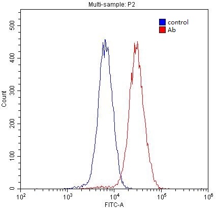 1X10^6 HepG2 cells were stained with 0.2ug MMP23B antibody (Catalog No:112703, red) and control antibody (blue). Fixed with 4% PFA blocked with 3% BSA (30 min). Alexa Fluor 488-congugated AffiniPure Goat Anti-Rabbit IgG(H+L) with dilution 1:1500.