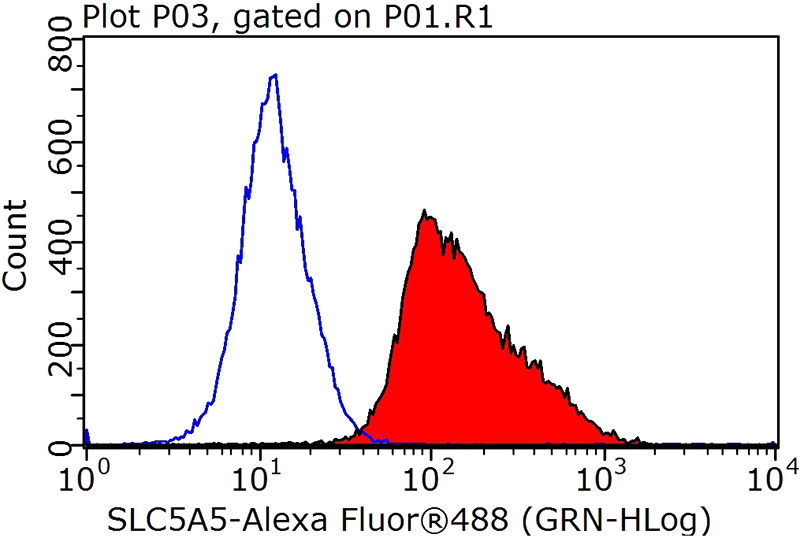 1X10^6 MCF-7 cells were stained with 0.2ug SLC5A5 antibody (Catalog No:115496, red) and control antibody (blue). Fixed with 90% MeOH blocked with 3% BSA (30 min). Alexa Fluor 488-congugated AffiniPure Goat Anti-Rabbit IgG(H+L) with dilution 1:100.