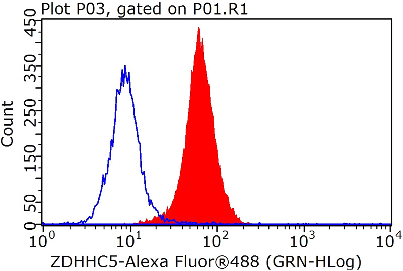 1X10^6 HeLa cells were stained with 0.2ug ZDHHC5 antibody (Catalog No:117034, red) and control antibody (blue). Fixed with 90% MeOH blocked with 3% BSA (30 min). FITC-Goat anti-Rabbit IgG with dilution 1:100.