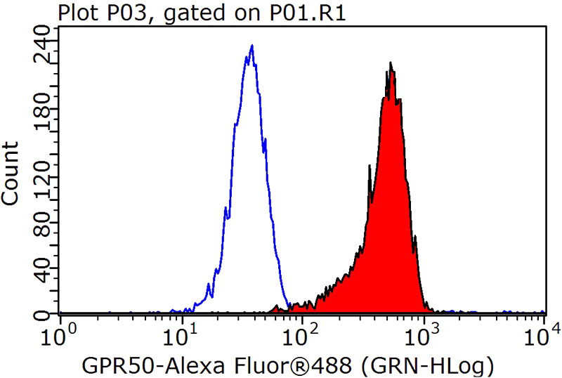1X10^6 K-562 cells were stained with 0.2ug GPR50 antibody (Catalog No:111129, red) and control antibody (blue). Fixed with 90% MeOH blocked with 3% BSA (30 min). Alexa Fluor 488-congugated AffiniPure Goat Anti-Rabbit IgG(H+L) with dilution 1:1000.