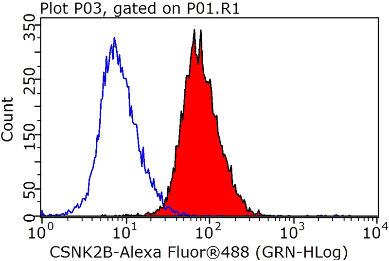 1X10^6 HeLa cells were stained with 0.2ug CSNK2B antibody (Catalog No:108867, red) and control antibody (blue). Fixed with 90% MeOH blocked with 3% BSA (30 min). Alexa Fluor 488-congugated AffiniPure Goat Anti-Rabbit IgG(H+L) with dilution 1:1000.