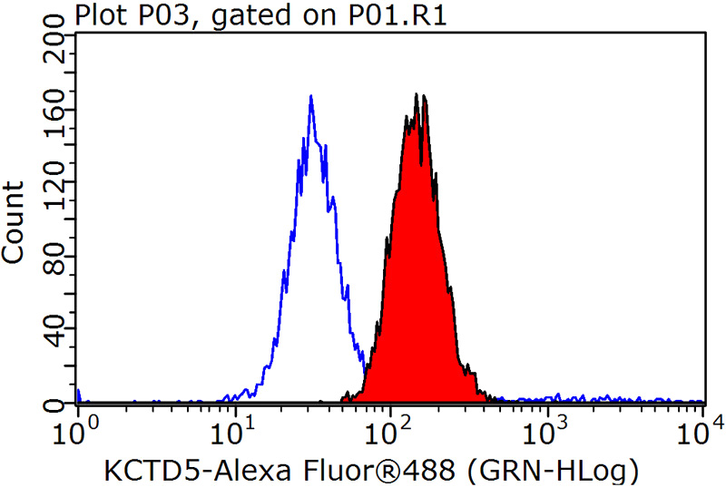 1X10^6 HeLa cells were stained with 0.2ug KCTD5 antibody (Catalog No:112021, red) and control antibody (blue). Fixed with 90% MeOH blocked with 3% BSA (30 min). Alexa Fluor 488-congugated AffiniPure Goat Anti-Rabbit IgG(H+L) with dilution 1:1000.