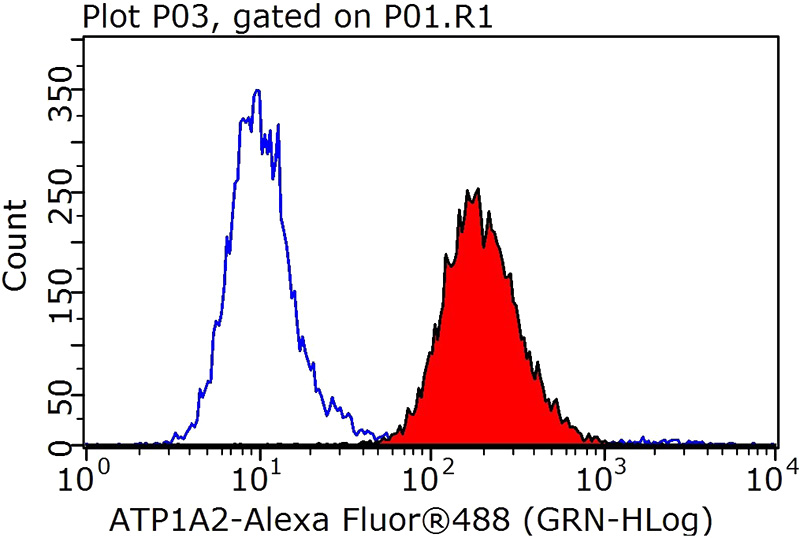 1X10^6 HEK-293 cells were stained with 0.2ug ATP1A1 antibody (Catalog No:108341, red) and control antibody (blue). Fixed with 90% MeOH blocked with 3% BSA (30 min). Alexa Fluor 488-congugated AffiniPure Goat Anti-Rabbit IgG(H+L) with dilution 1:1000.