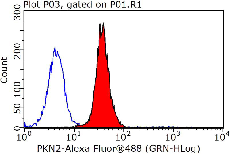 1X10^6 HepG2 cells were stained with 0.2ug PKN2 antibody (Catalog No:113919, red) and control antibody (blue). Fixed with 90% MeOH blocked with 3% BSA (30 min). Alexa Fluor 488-congugated AffiniPure Goat Anti-Rabbit IgG(H+L) with dilution 1:1500.