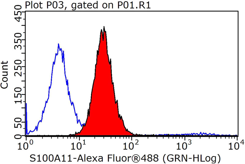 1X10^6 MCF-7 cells were stained with 0.2ug S100A11 antibody (Catalog No:114955, red) and control antibody (blue). Fixed with 90% MeOH blocked with 3% BSA (30 min). Alexa Fluor 488-congugated AffiniPure Goat Anti-Rabbit IgG(H+L) with dilution 1:1000.
