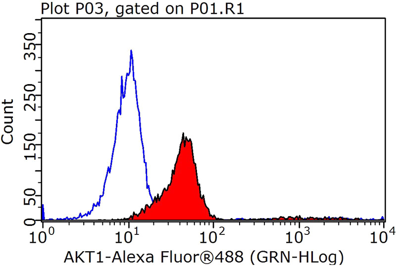 1X10^6 HeLa cells were stained with 0.2ug AKT antibody (Catalog No:107948, red) and control antibody (blue). Fixed with 90% MeOH blocked with 3% BSA (30 min). Alexa Fluor 488-congugated AffiniPure Goat Anti-Rabbit IgG(H+L) with dilution 1:1000.