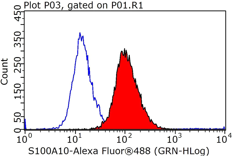 1X10^6 HeLa cells were stained with 0.2ug S100A10 antibody (Catalog No:114954, red) and control antibody (blue). Fixed with 90% MeOH blocked with 3% BSA (30 min). Alexa Fluor 488-congugated AffiniPure Goat Anti-Rabbit IgG(H+L) with dilution 1:1000.
