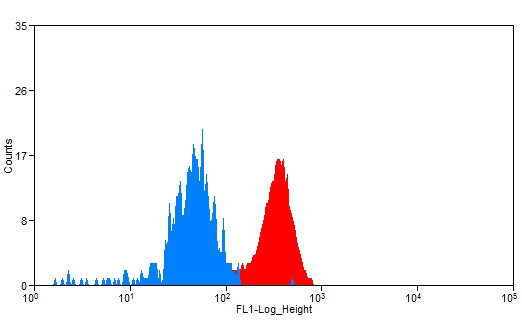 1X10^6 K-562 cells were stained with 0.2ug HBE1 antibody (Catalog No:111288, red) and control antibody (blue). Fixed with 90% MeOH blocked with 3% BSA (30 min). Alexa Fluor 488-congugated AffiniPure Goat Anti-Rabbit IgG(H+L) with dilution 1:1500.