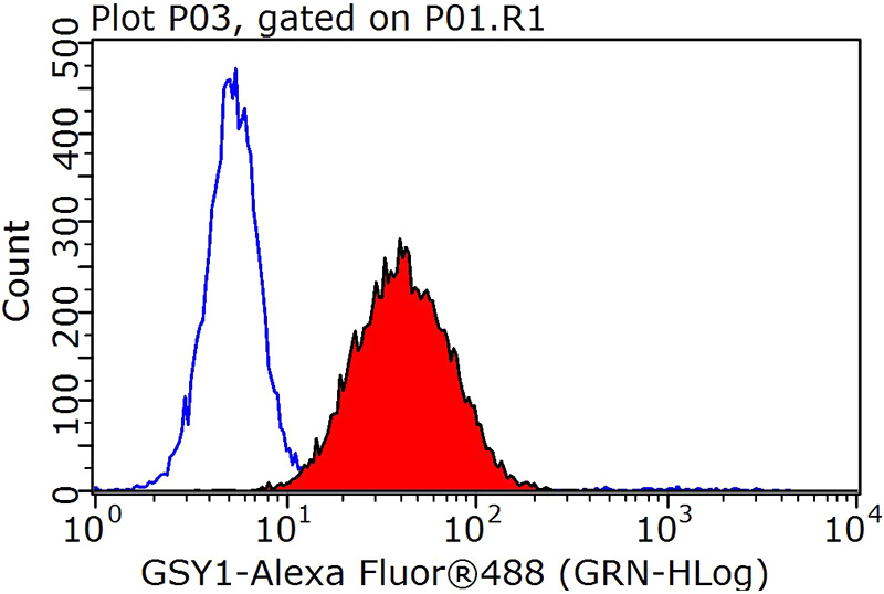 1X10^6 HepG2 cells were stained with 0.2ug GYS1 antibody (Catalog No:111321, red) and control antibody (blue). Fixed with 90% MeOH blocked with 3% BSA (30 min). Alexa Fluor 488-congugated AffiniPure Goat Anti-Rabbit IgG(H+L) with dilution 1:1000.