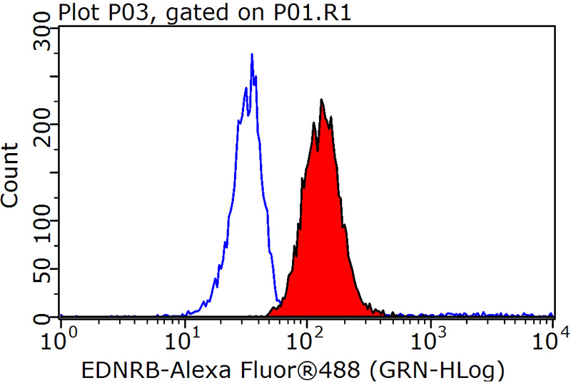 1X10^6 Raji cells were stained with 0.2ug EDNRB antibody (Catalog No:110306, red) and control antibody (blue). Fixed with 90% MeOH blocked with 3% BSA (30 min). Alexa Fluor 488-congugated AffiniPure Goat Anti-Rabbit IgG(H+L) with dilution 1:1000.