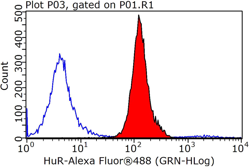 1X10^6 MCF-7 cells were stained with 0.2ug HuR antibody (Catalog No:111725, red) and control antibody (blue). Fixed with 90% MeOH blocked with 3% BSA (30 min). Alexa Fluor 488-congugated AffiniPure Goat Anti-Rabbit IgG(H+L) with dilution 1:1000.