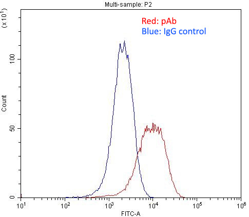 1X10^6 PC-3 cells were stained with 0.2ug Integrin alpha-3 antibody (Catalog No:111858, red) and control antibody (blue). Fixed with 4% PFA blocked with 3% BSA (30 min). Alexa Fluor 488-congugated AffiniPure Goat Anti-Rabbit IgG(H+L) with dilution 1:1500.