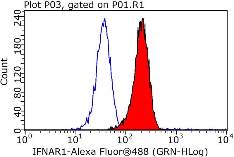 1X10^6 K-562 cells were stained with 0.2ug IFNAR1 antibody (Catalog No:111626, red) and control antibody (blue). Fixed with 90% MeOH blocked with 3% BSA (30 min). Alexa Fluor 488-congugated AffiniPure Goat Anti-Rabbit IgG(H+L) with dilution 1:1000.
