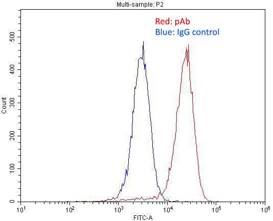 1X10^6 HepG2 cells were stained with .2ug IGF2R-Specific antibody (Catalog No:111682, red) and control antibody (blue). Fixed with 4% PFA blocked with 3% BSA (30 min). Alexa Fluor 488-congugated AffiniPure Goat Anti-Rabbit IgG(H+L) with dilution 1:1500.