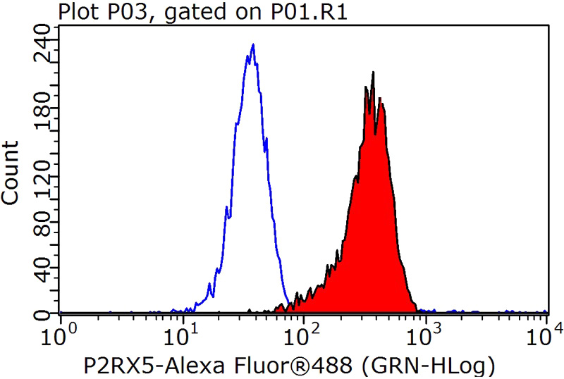 1X10^6 K-562 cells were stained with 0.2ug P2RX5 antibody (Catalog No:113543, red) and control antibody (blue). Fixed with 90% MeOH blocked with 3% BSA (30 min). Alexa Fluor 488-congugated AffiniPure Goat Anti-Rabbit IgG(H+L) with dilution 1:1000.
