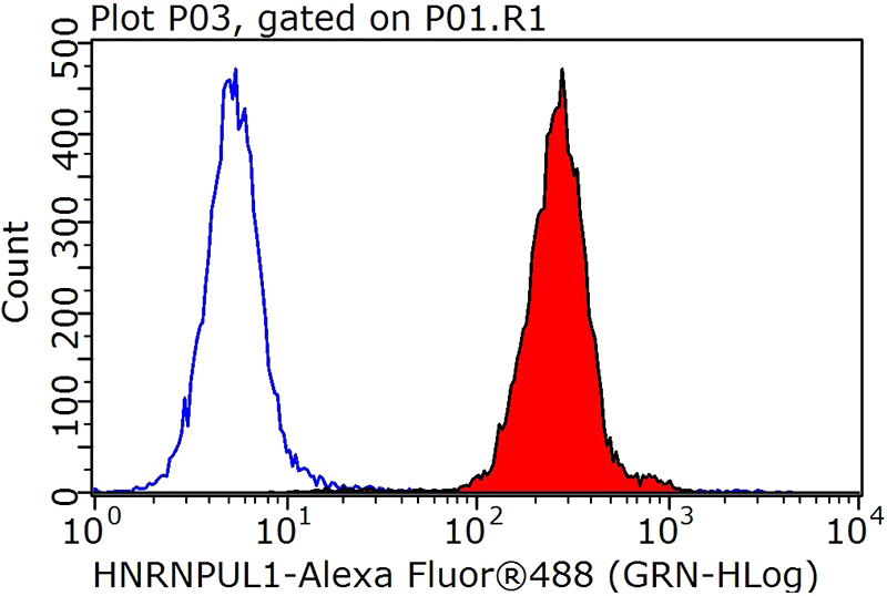 1X10^6 HepG2 cells were stained with 0.2ug HNRNPUL1 antibody (Catalog No:111514, red) and control antibody (blue). Fixed with 90% MeOH blocked with 3% BSA (30 min). Alexa Fluor 488-congugated AffiniPure Goat Anti-Rabbit IgG(H+L) with dilution 1:1000.