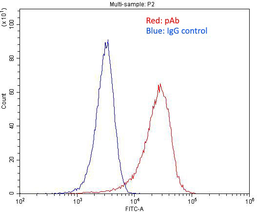 1X10^6 HeLa cells were stained with 0.2ug SORCS1 antibody (Catalog No:115503, red) and control antibody (blue). Fixed with 4% PFA blocked with 3% BSA (30 min). Alexa Fluor 488-congugated AffiniPure Goat Anti-Rabbit IgG(H+L) with dilution 1:1500.
