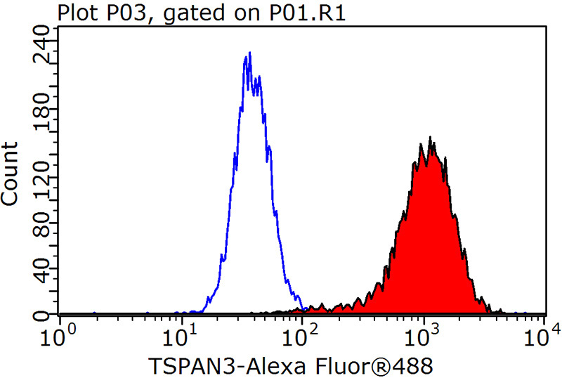 1X10^6 HeLa cells were stained with 0.2ug TSPAN3 antibody (Catalog No:107647, red) and control antibody (blue). Fixed with 90% MeOH blocked with 3% BSA (30 min). Alexa Fluor 488-congugated AffiniPure Goat Anti-Mouse IgG(H+L) with dilution 1:1000.