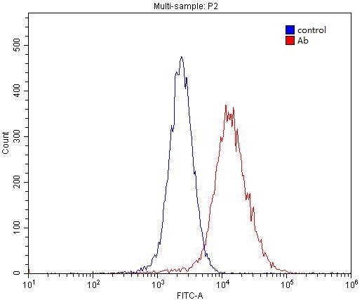 1X10^6 MCF-7 cells were stained with 0.2ug GPRC5A,RAI3 antibody (Catalog No:111139, red) and control antibody (blue). Fixed with 4% PFA blocked with 3% BSA (30 min). Alexa Fluor 488-congugated AffiniPure Goat Anti-Rabbit IgG(H+L) with dilution 1:1500.