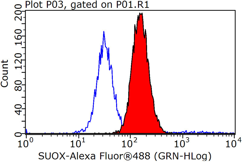 1X10^6 HeLa cells were stained with 0.2ug SUOX antibody (Catalog No:115840, red) and control antibody (blue). Fixed with 90% MeOH blocked with 3% BSA (30 min). Alexa Fluor 488-congugated AffiniPure Goat Anti-Rabbit IgG(H+L) with dilution 1:1000.
