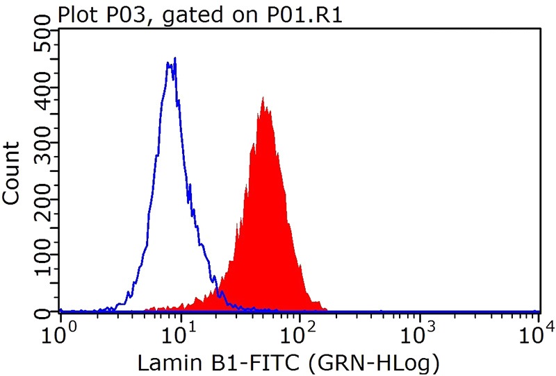 1X10^6 HeLa cells were stained with 0.2ug Lamin B1 antibody (Catalog No:117328, red) and control antibody (blue). Fixed with 90% MeOH blocked with 3% BSA (30 min). FITC-Goat anti-Mouse IgG with dilution 1:100.