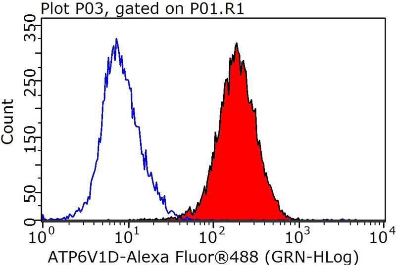 1X10^6 HeLa cells were stained with 0.2ug ATP6V1D antibody (Catalog No:108310, red) and control antibody (blue). Fixed with 90% MeOH blocked with 3% BSA (30 min). Alexa Fluor 488-congugated AffiniPure Goat Anti-Rabbit IgG(H+L) with dilution 1:1000.