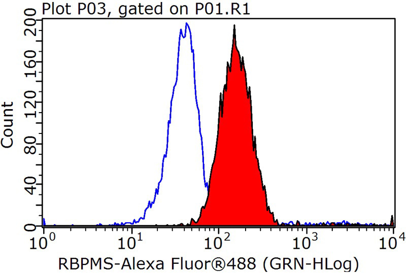 1X10^6 HeLa cells were stained with 0.2ug RBPMS antibody (Catalog No:114567, red) and control antibody (blue). Fixed with 90% MeOH blocked with 3% BSA (30 min). Alexa Fluor 488-congugated AffiniPure Goat Anti-Rabbit IgG(H+L) with dilution 1:1000.